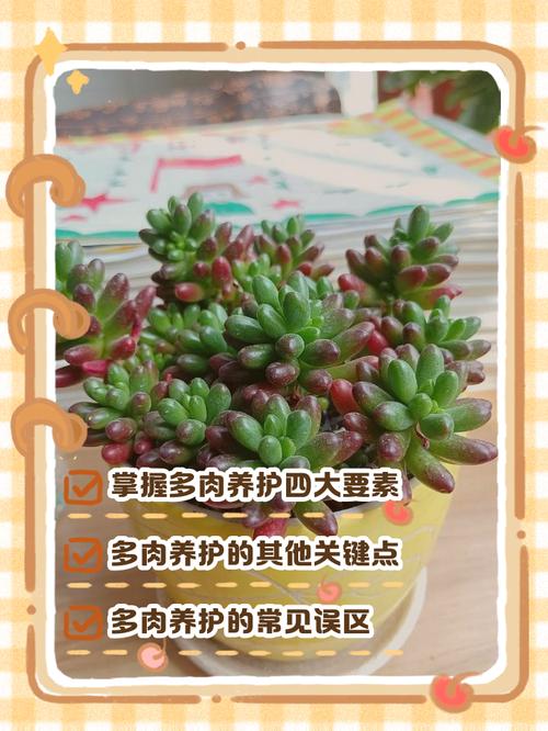 多肉土壤酸化怎么办？-第3张图片-吾爱花网