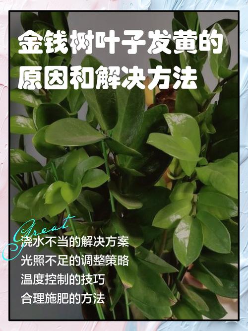 醋能治盆栽黄叶吗？-第2张图片-吾爱花网