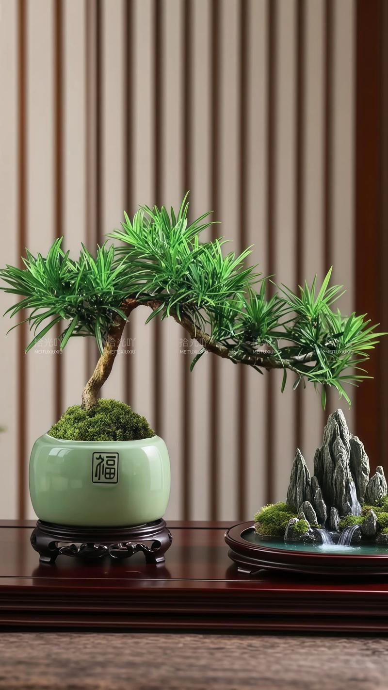 绿植盆栽如何造型更美观？-第1张图片-吾爱花网