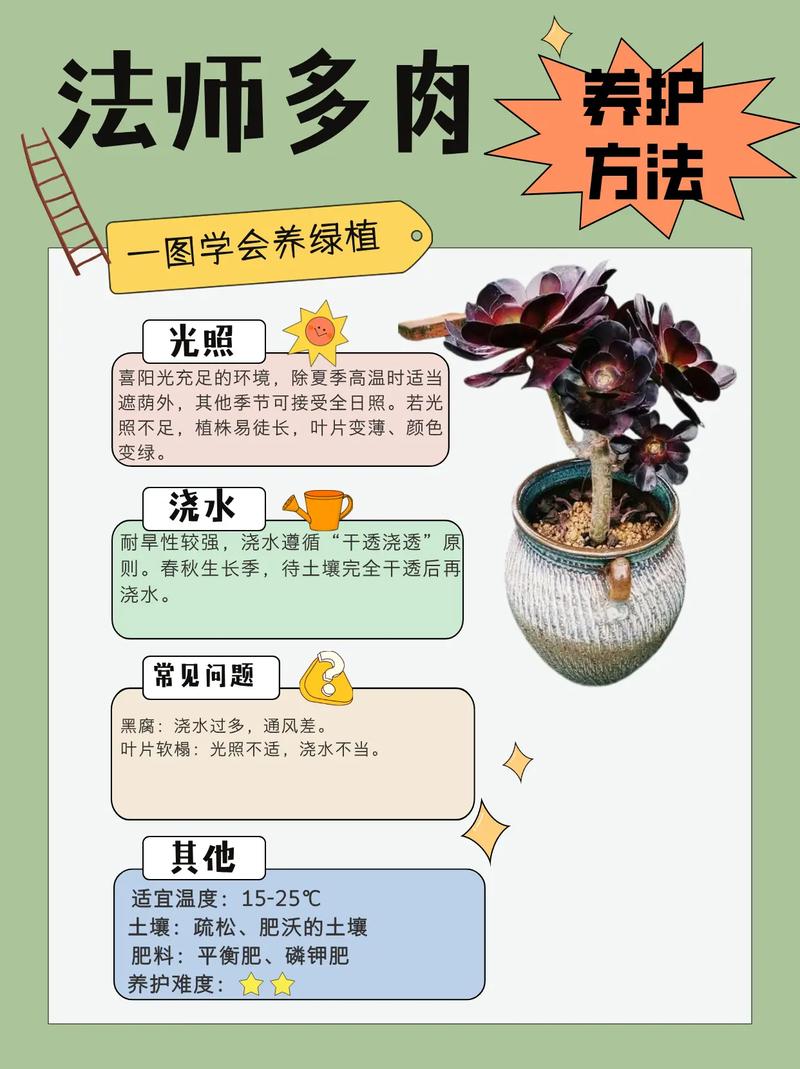 多肉怎么种？图片大全教你养！-第2张图片-吾爱花网