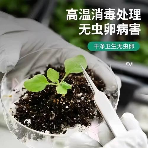 长寿花盆栽土壤怎么配才合适？-第3张图片-吾爱花网
