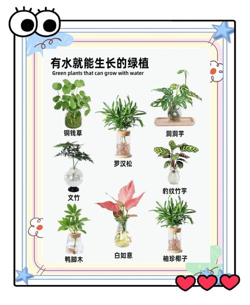 室内小盆栽如何养活不枯萎？-第2张图片-吾爱花网