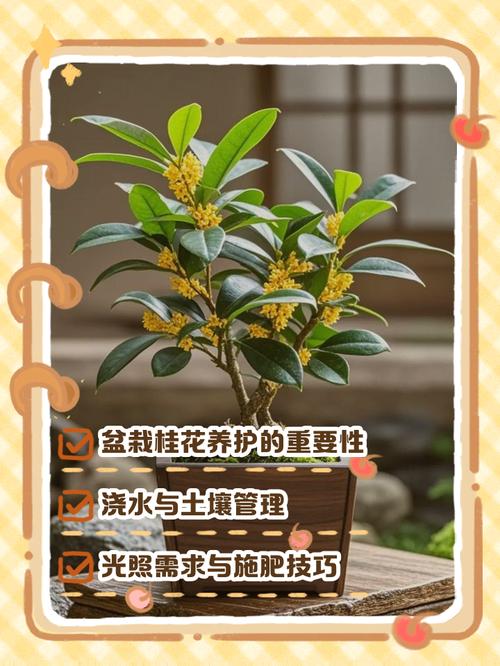 冬季桂花盆栽几天浇一次水？-第1张图片-吾爱花网