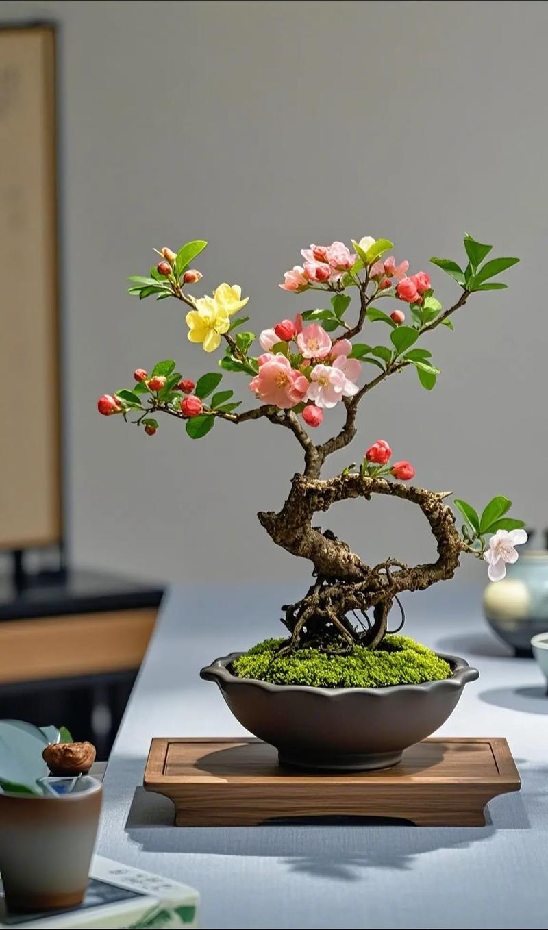 迷你开花盆栽有哪些品种？-第1张图片-吾爱花网