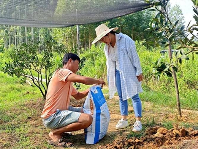 秋天盆栽施肥,到底行不行?-第2张图片-吾爱花网 秋天盆栽施肥,到底行不行?-第2张图片-吾爱花网