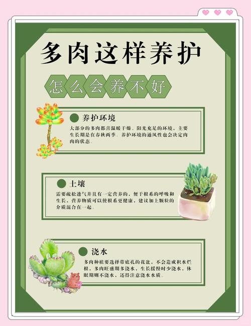 多肉幼苗浇水怎么浇才合适？-第3张图片-吾爱花网