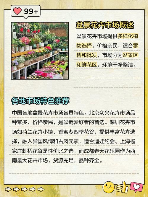 杭州滨江哪里能买到盆栽？-第1张图片-吾爱花网