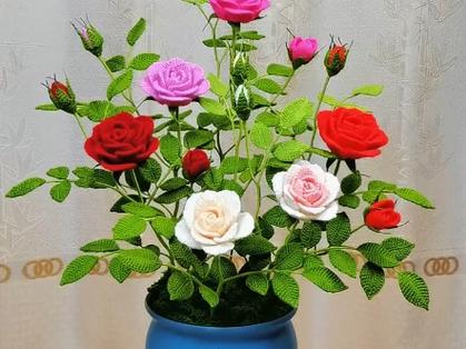 象征凄美的爱情花，盆栽里藏着什么故事？-第3张图片-吾爱花网