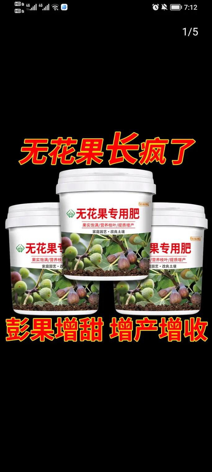 盆栽无花果用什么肥料好？-第2张图片-吾爱花网