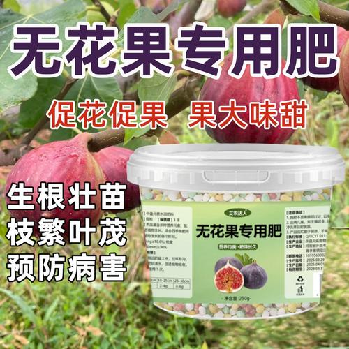 盆栽无花果用什么肥料好？-第1张图片-吾爱花网