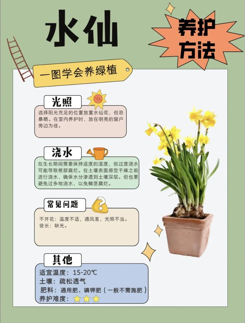 水培花的水怎么处理才合适？-第1张图片-吾爱花网