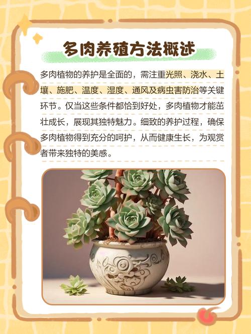 夏季养多肉,这些禁忌千万别犯?-第1张图片-吾爱花网 夏季养多肉,这些禁忌千万别犯?-第1张图片-吾爱花网