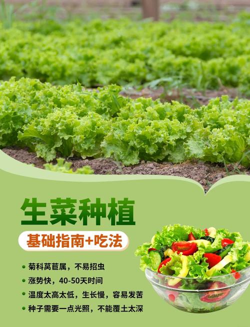 盆栽蔬菜产销如何协同突破?-第2张图片-吾爱花网 盆栽蔬菜产销如何协同突破?-第2张图片-吾爱花网