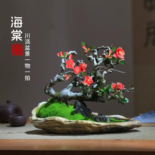 盆栽贴梗海棠浇水怎么浇?-第1张图片-吾爱花网 盆栽贴梗海棠浇水怎么浇?-第1张图片-吾爱花网