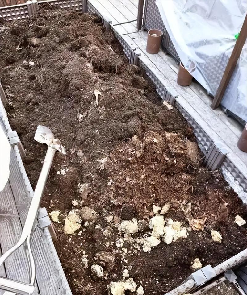 植物盆栽土壤要填满吗-第1张图片-吾爱花网