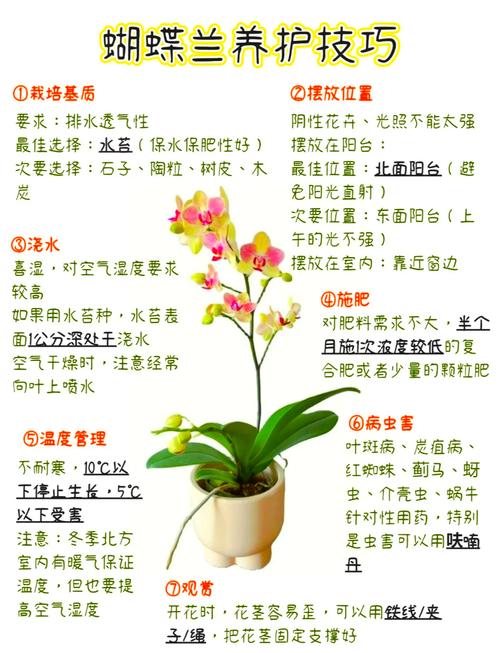 盆栽花卉如何高效繁殖养护？-第2张图片-吾爱花网