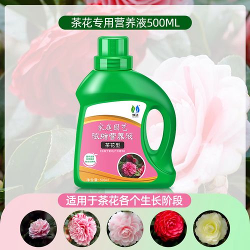 水培花卉营养液为何是红色的？-第3张图片-吾爱花网