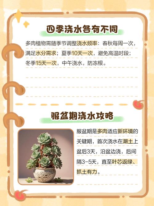 北方春季多肉浇水频率怎么把控？-第1张图片-吾爱花网