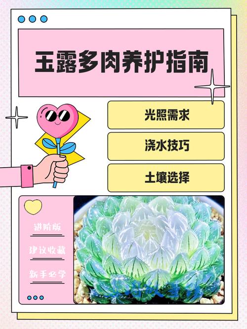 多肉植物寓意吉祥吗?-第2张图片-吾爱花网 多肉植物寓意吉祥吗?-第2张图片-吾爱花网