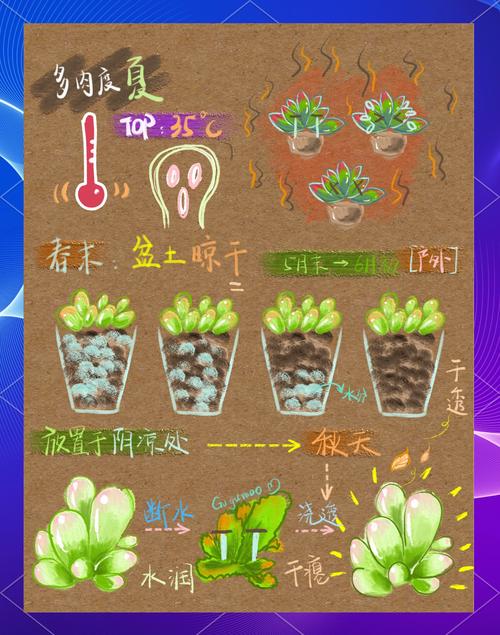 夏天多肉如何防徒长?-第3张图片-吾爱花网 夏天多肉如何防徒长?-第3张图片-吾爱花网