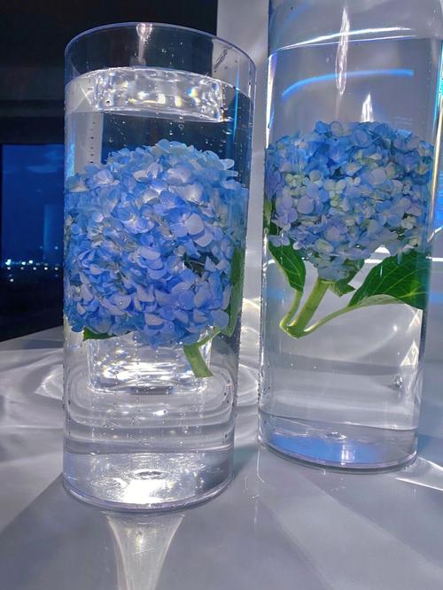 冬天水培绣球花能活吗？-第2张图片-吾爱花网