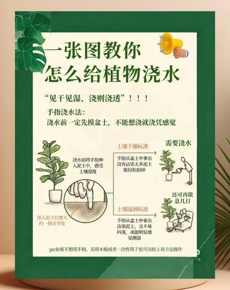 水培花卉技术怎么学?关键步骤有哪些?-第3张图片-吾爱花网 水培花卉技术怎么学?关键步骤有哪些?-第3张图片-吾爱花网