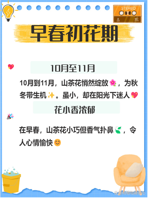 盆栽茶花几月开花？花期多久？-第1张图片-吾爱花网