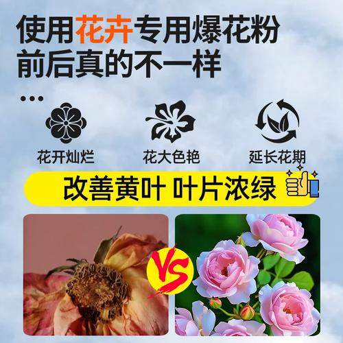 花粉能当盆栽肥料用吗？-第1张图片-吾爱花网