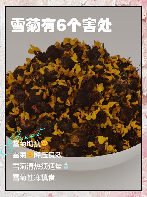 北方盆栽菊花会冻死吗？-第2张图片-吾爱花网